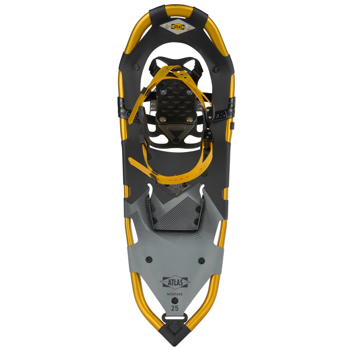 Atlas Montane Yellow Snowshoe