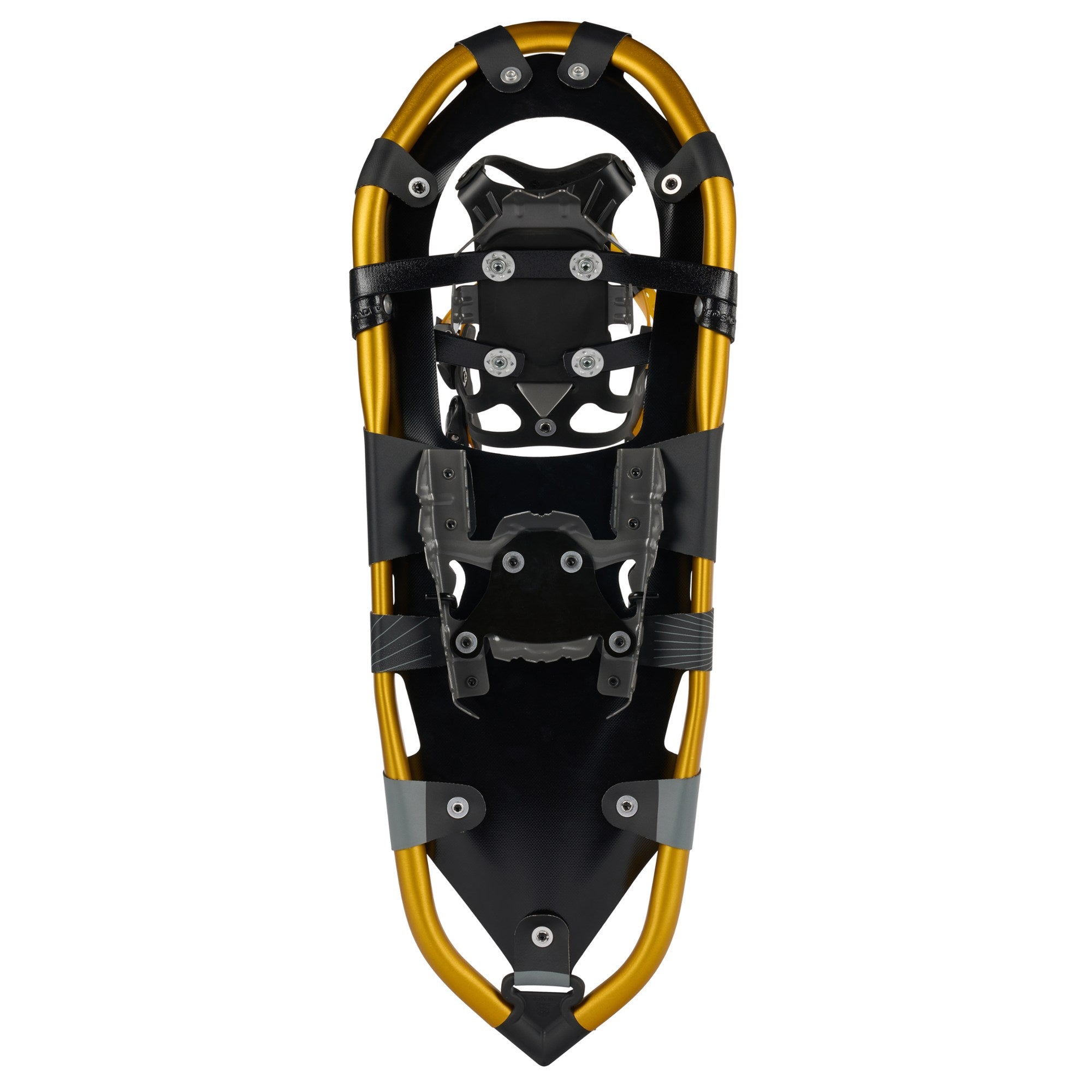 Atlas Montane Yellow Snowshoe