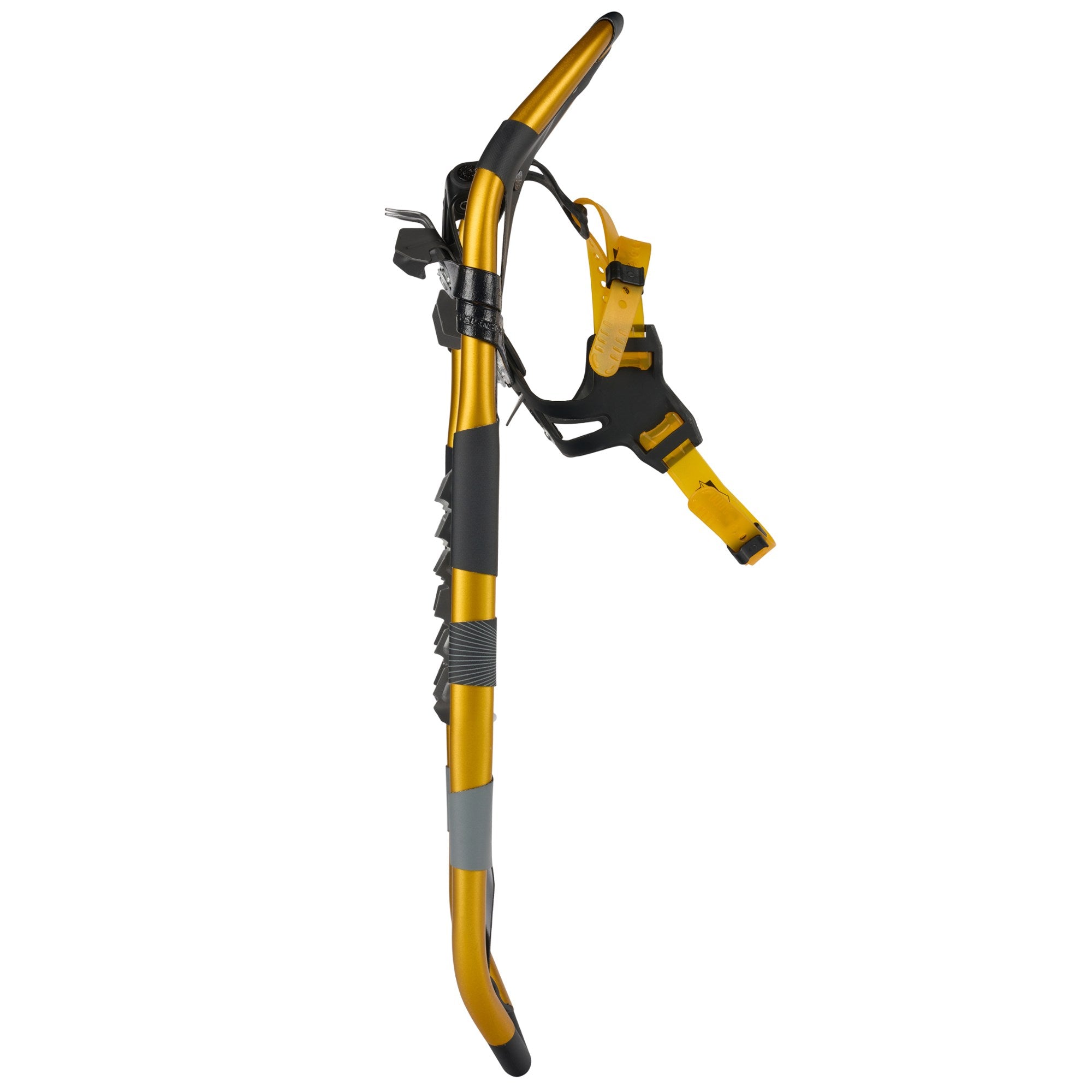 Atlas Montane Yellow Snowshoe