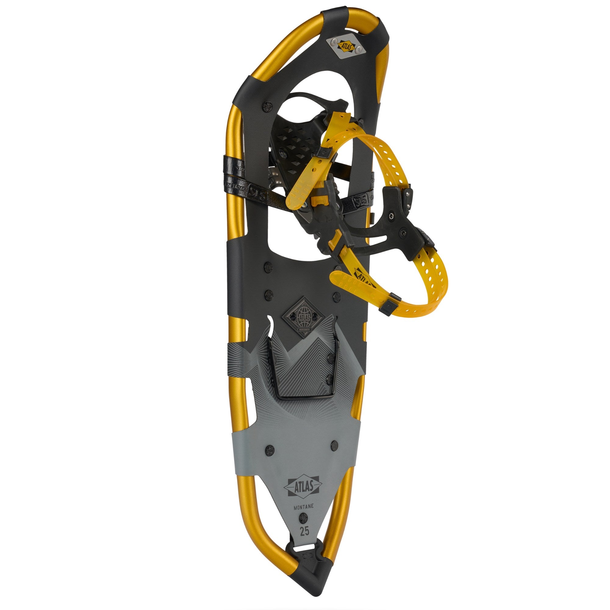 Atlas Montane Yellow Snowshoe