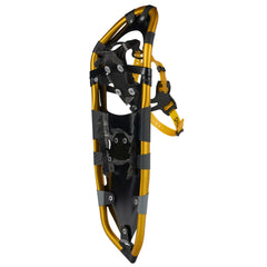 Atlas Montane Yellow Snowshoe