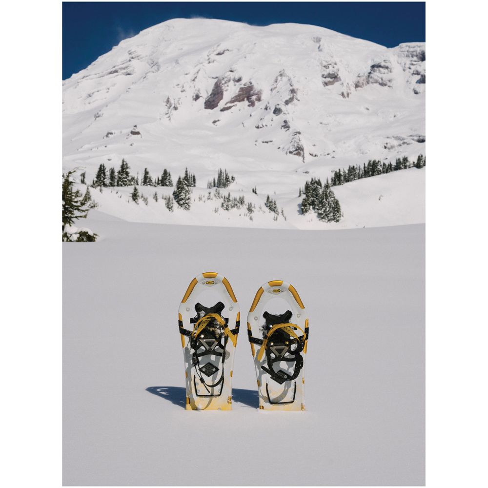 Atlas Montane Yellow Snowshoe