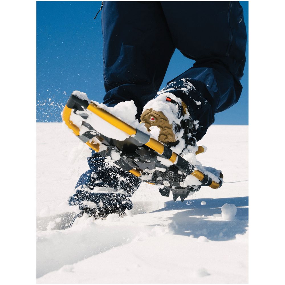 Atlas Montane Yellow Snowshoe