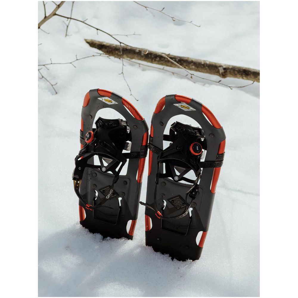 Atlas Treeline Snowshoe